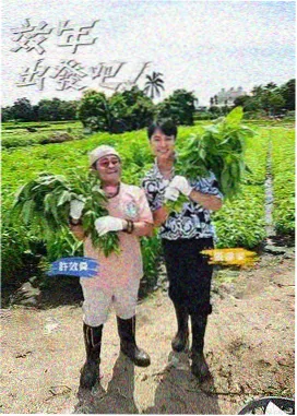 大逃脱4 日韩综艺